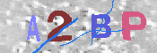 CAPTCHA Kép