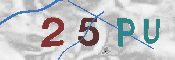 CAPTCHA Kép