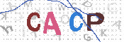CAPTCHA Kép